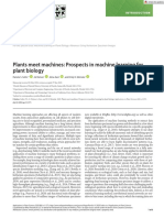 Plants Meet Machines: Prospects in Machine Learning For Plant Biology