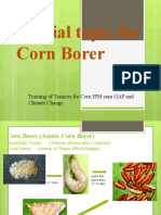 Special Topic For Corn Borer: Training of Trainers For Corn IPM Cum GAP and Climate Change