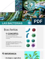 LAS BACTERIAS