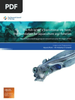 Download the-fish-larva-web by yann_rousseau1008 SN51380876 doc pdf