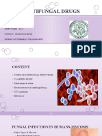 Antifungal Drugs Final