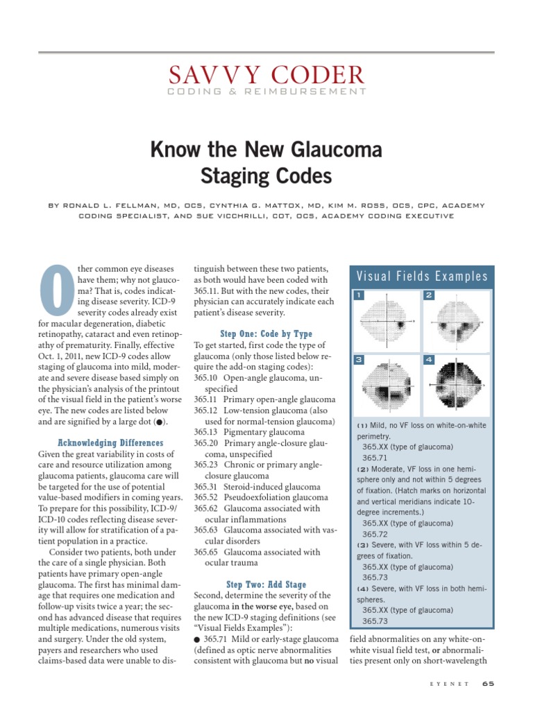 Know The New Staging Codes PDF PDF Visual System