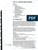 Unit 14 Protein Biosynthesis: Structure