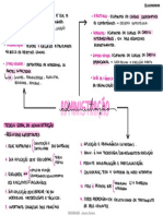 Admi Geral Mapa Mental