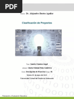 Clasificación de Proyectos