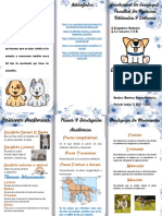 Triptico Descripcion Anatomica de Un Animal Domestico