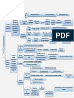 Mapa Conceptual de La Distribución de La Red de Salud de Chiriquí