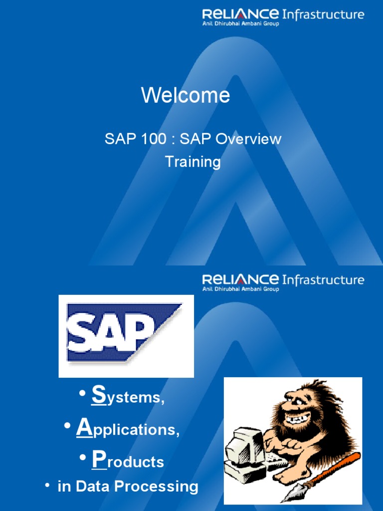 SAP Overview and Key Concepts | PDF | Computing | Software Engineering