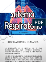 8° Iv Ciencias PPT Sistema Respiratorio