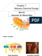 BIO121 Chapter 7 Releasing Chemical Energy