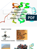 BIO121 Chapter 3 Molecules of Life