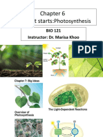 BIO121 Chapter 6 Where It Starts Photosynthesis