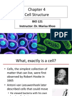 BIO121 Chapter 4 Cell Structure