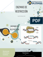 Enzimas de Restricao e Vetores de Clonacao