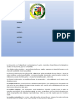 Las Formas de Intervención Del Profesional de Trabajo Social Varían Dependiendo Diversos Factores y Áreas