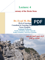 Dr. Eyad M. Hussein: Anatomy of The Brain Stem