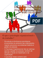 Psicologia Organisacional