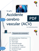 1.3. Accidente Cerebro Vascular