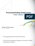 Processing Reading Sample Lesson: Peter's Beach