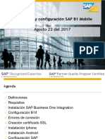 Configuracion Integration Sap Business One Mobile