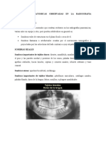 Estructuras Anatomicas Observadas en La Radiografia Panoramica