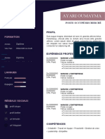 180 Modele CV Attractif