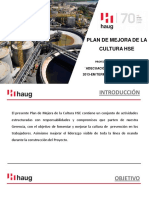 PLAN DE MEJORA DE LA CULTURA HSE - TDP - RevC (Presentado TP)