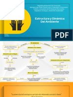 Estructura y Dinamica Del Ambiente I