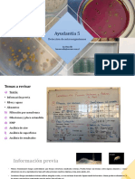 Detección de microorganismos en alimentos y aguas