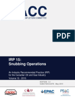 IRP15 2015 v3.1