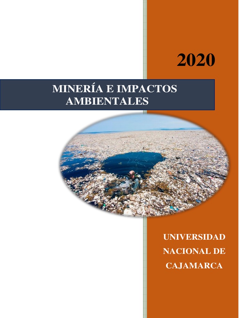 La Isla de Los Plásticos | PDF | El plastico | Residuos