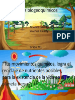 Frase Ciclo Biogequimicos