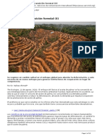 Servindi Hacia Una Gran Transicion Forestal II - 2020-08-12