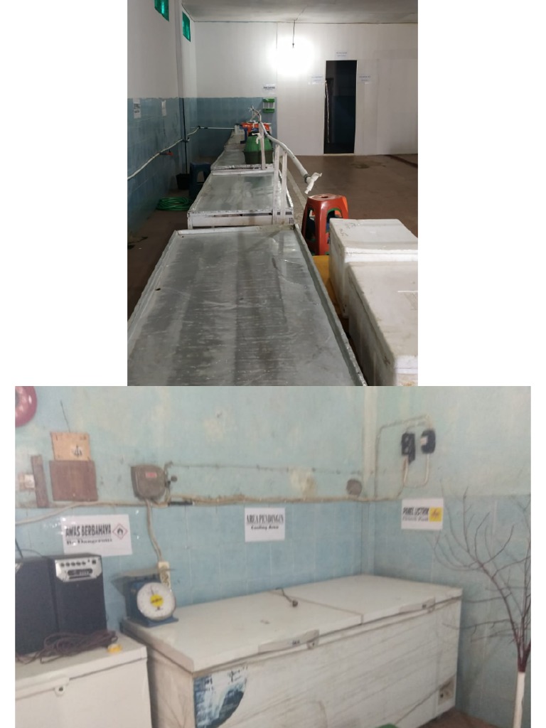 Dried Squid Processing Plant | PDF