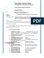 Informe 001 Ing Medio Ambiente