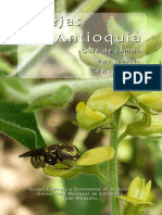 Abejas de Antioquia 1