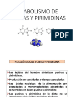 Catabolismo de Purinas y Pirimidinas