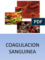 5 La Coagulación