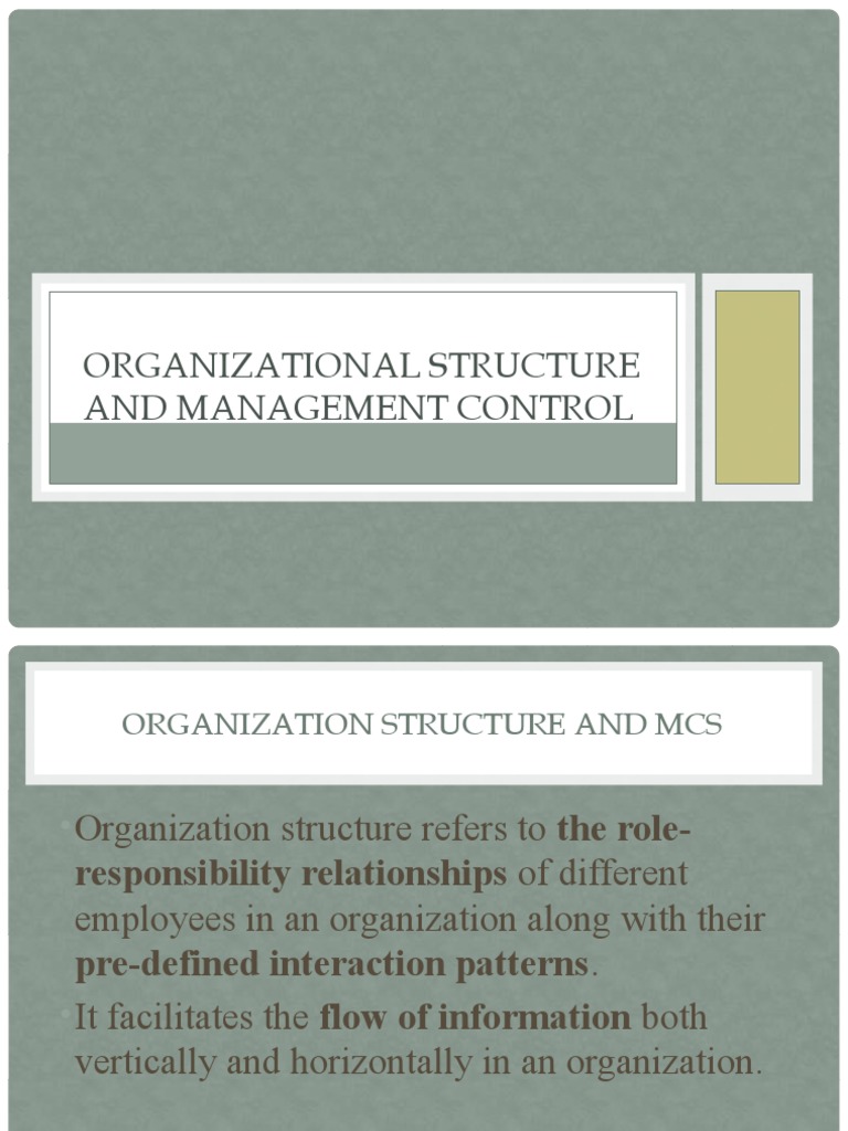 Organizational Structure and MCS Overview | PDF | Organizational ...