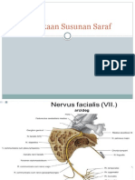 Perlukaan Susunan Saraf