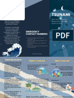 Tsunami: What Is A Tsunami
