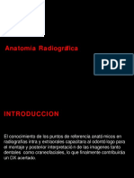 Anatomaradiogrficanormalmaxilarsuperior 131101104820 Phpapp02