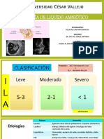 Ecografia Liquido Amniotico 2 Parte