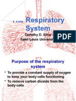 The Respiratory System: Dorothy D. Silva Saint Louis University