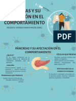 PANCREAS