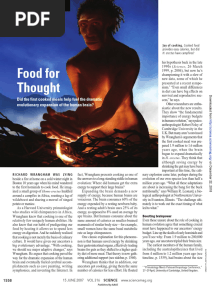Food For Thought: Did The First Cooked Meals Help Fuel The Dramatic Evolutionary Expansion of The Human Brain?