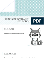 Funciones Vitales (El Lobo) Mi Animal Favorito