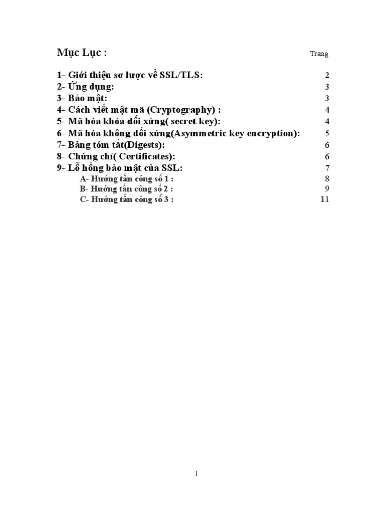 SSL TLS | PDF