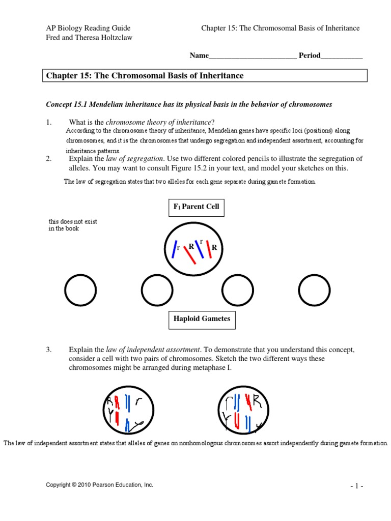 Chapter 15 The Chromosomal Basis Of Inheritance Answer Key