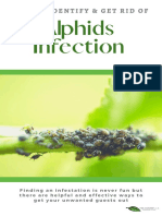 Aphid Infestation: How To Identify & Get Rid of Aphids Naturally
